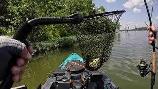 Kansas Kayak Anglers Big Hill Lake Bass Fishing Tournament   HD 1080p