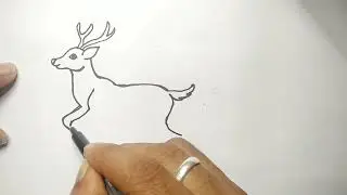 DRAW Amazing Deer Easily Today