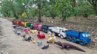 Truk Muat Hewan Sapi bebek angsa kuda gajah kelinci buaya harimau ayam ikan gorila anjing singa
