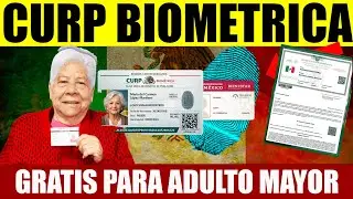 ADULTO MAYOR donde sacar curp biometrica gratis