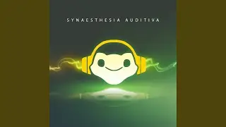 Maximum Tempo