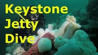 A Keystone Jetty Dive