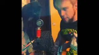 Cat Singing In Metalcore Band! #Cats #Shorts