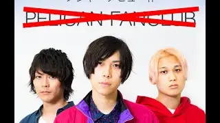 Pelican Fanclub New album and band