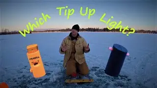 Best Tip Up Lights
