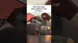 One year of TF2 Seal 🦭