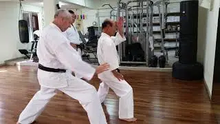 2015 Uechiryu Corrections with Nakahodo  and David Harris