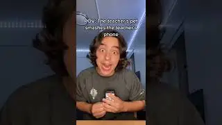 POV: Питомец учителя разбивает его телефон #шорты
