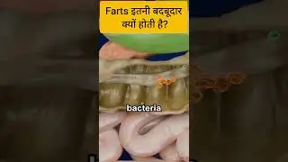Why do farts smell bad? #shorts