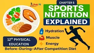 Sports & Nutrition Explained in Hinglish | Chapter 5 | 12th Physical Education | StudyPE