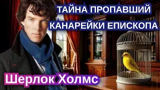 [05] Детективный рассказ. Тайна пропавший канарейки епископа. Истории (лекция) для сна