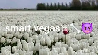 lar smart vegas
