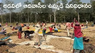 అడవిలో ఆదివాసీల ఉమ్మడి పనివిధానం