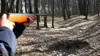 Crosman Quest 1000 4,5mm Tests at 35 Meters (puszka - 35 metr&oacute;w)