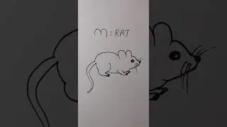 how to draw rat easy for beginner
