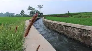 weather information Nowshera Virkan
