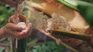 Bamboo-Cooked Chicken & Rice in a Mountain Forest (ASMR)