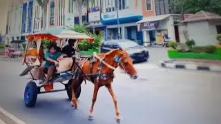 (( lagu anak anak OLAH EAGA ))