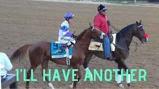 Talking Racehorses: I’ll Have Another