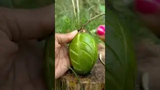 Mount watering 💦🌊 mango recipe 👍😍🥰😍