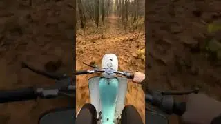 Jawka 50
