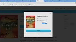 How to Use Overdrive App