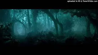 Moonless Amazonian - Soultransporter