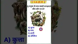 Which is the most intelligent creature after humans? GK Question || Quiz Gyaan #gk #gkinhindi