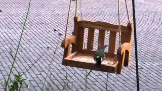 Voedertafel schommelbank