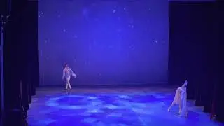 Gluck-melody pas de deux from Cairo Opera House February 2021