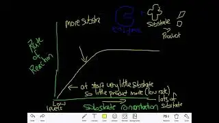 Effect of substrate concentration on enzyme activity