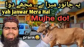 Yeh janwer mera hy mojhy do! Prank by    Imam saab   Anas Zafar