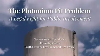 The Plutonium Pit Problem