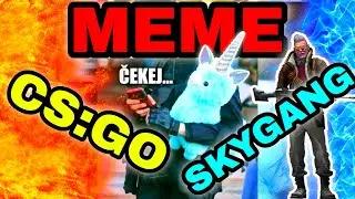 CSGO MEMES NA SKYGANG!!!