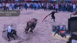 Torrestrella y Juan Faet en Nules - 15 Noviembre 2025