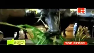 Success story  of a Dairy farm by Sunil
