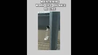 Maintaining The Work-Life Balance #memes #shorts