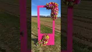Holland Ridge Farms - U-Pick Tulips 2022!
