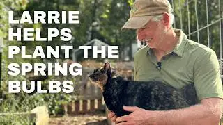 How to Plant Spring-Flowering Bulbs in Fall (with Larrie&rsquo;s Help!)