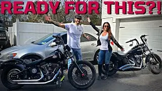 2 Harley Night Trains, Fresh Out of Hibernation.