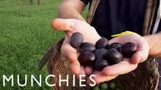 Exploring Sicily's Rich Food Culture: Being Frank - Episode 2 (Trailer)