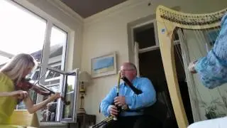 Trad Harp Trio