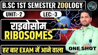 B.Sc 1st Sem Zoology | Ribosomes | Ribosomes Bsc 1st Year Zoology | Ribosomes Bsc 1st Semester