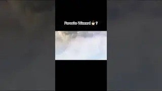 Favoite Wizzrad?
