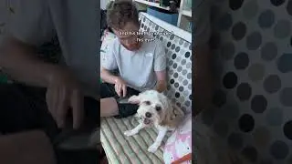 Our First Night Pet Sitting Didn&rsquo;t Go As Planned 🙃 | World Trip Day 287
