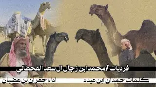 جديد وحصرى || 🌟فرديات/ محمد ابن زجال ال سعد القحطاني 🔥|| كلمات حمدان ابن عيده ||اداء جفران بن هضبان