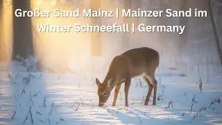 Gro&szlig;er Sand Mainz |Mainzer Sand im Winter |Schneefall | Germany