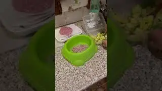 Max .... 