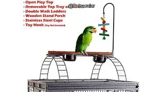Castle PlayTop Parrot Bird Cage Review: Is It Worth the Investment for Large Parrots?