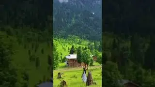 hum pyar ki bazi haar gye